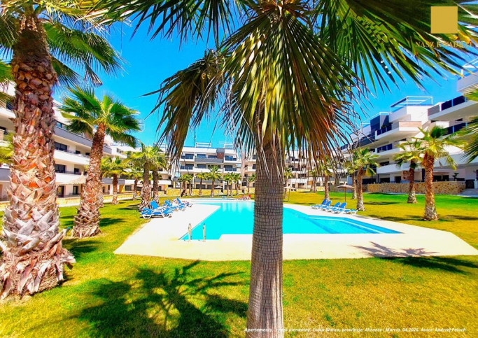 Mieszkanie Sprzedaż Alicante, l'Alacantí, Alacant / Alicante, Wspólnota Walencka, Hiszpania 13