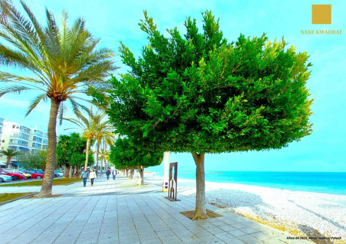 Mieszkanie Sprzedaż Alicante, l'Alacantí, Alacant / Alicante, Wspólnota Walencka, Hiszpania 15